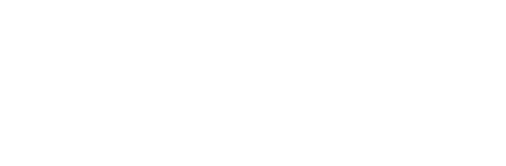 nettantra white logo