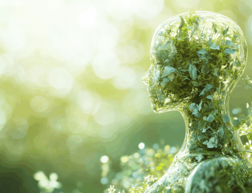 Green AI: The Future of Sustainable Artificial Intelligence